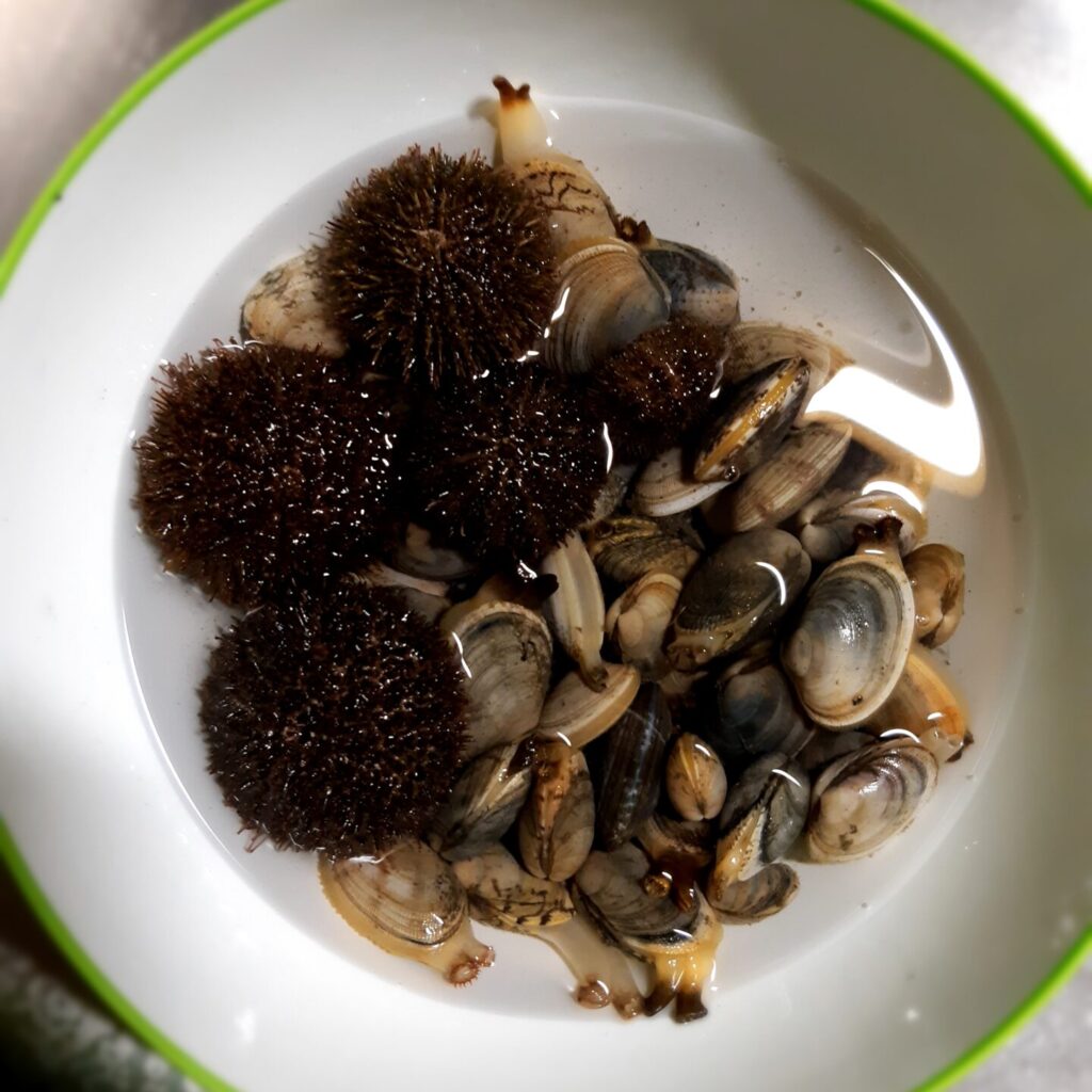 北海道ウニ獲り体験の紹介とウニの食べ方。下処理とレシピ | だんみき blog